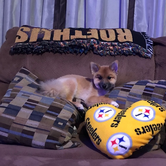 Meet your Posher, Theresa - Picture 1 of 11